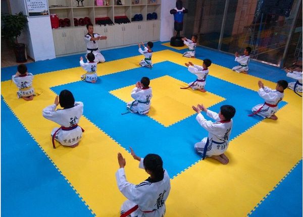 Eva Foam Tatami Mat Taekwondo Judo Karate Exercise Eva Mat 25mm