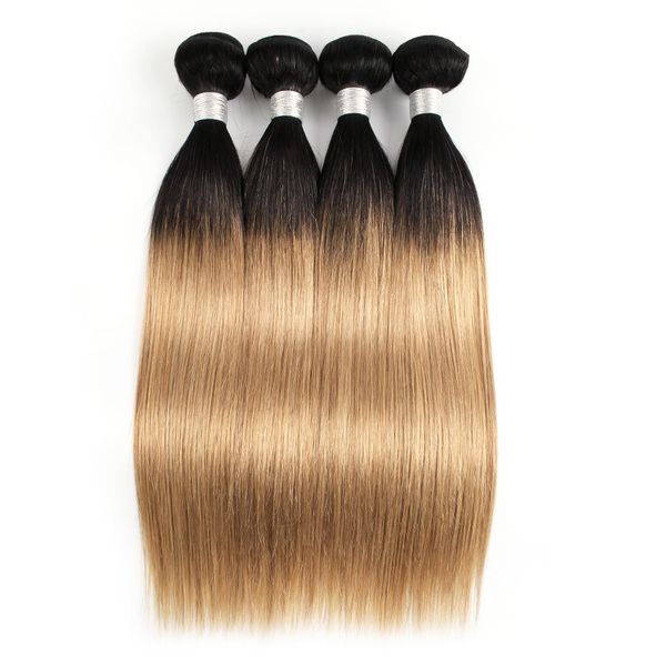 Brazilian Straight Hair Color Styles Coupons Promo Codes Deals