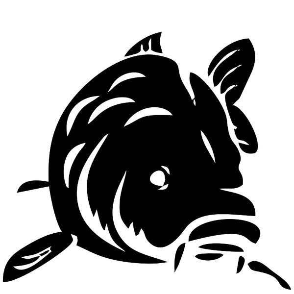 

15*13.4cm cute and interesting fish 2019 new style modern decal funny car window bumper novelty jdm drift vinyl decal sticker