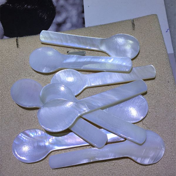 

natural shell spoon coffee stirring ice cream spoons for kids children
