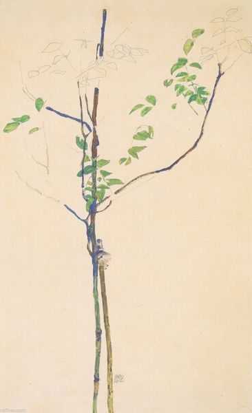 

egon schiele young trees with support home wall art decor handpainted &hd print wall art canvas pictures 190906