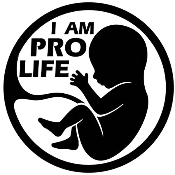 

15*15cm i am pro life baby vinyl sticker cute and interesting fashion sticker decals vinyl car wrap decor decals
