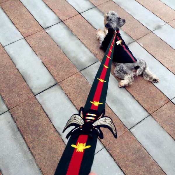 

Coleiras & Trelas para Cães febhome