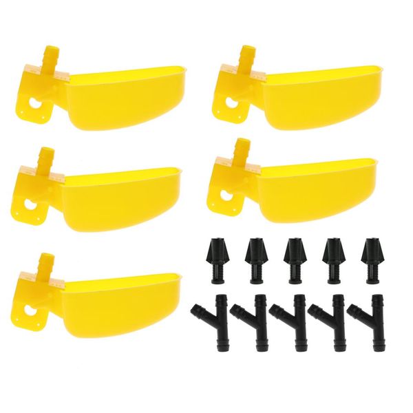 

small bird quail dove drinking automatic drinking bowls drinking cup