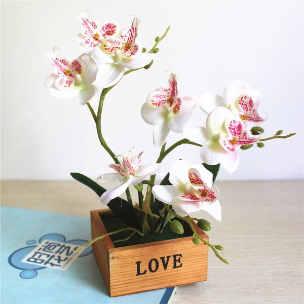 

one set artificial butterfly orchid potted succulents plants home garden living room decoration fake plants