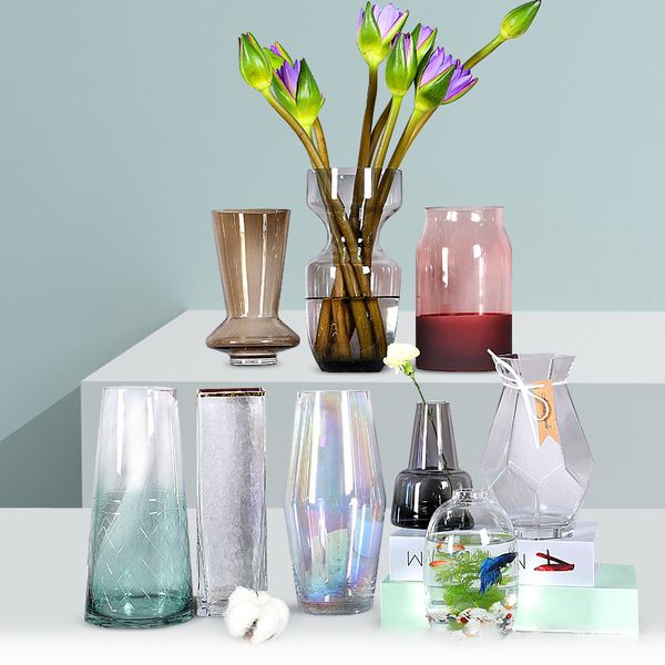 Colorful Glass Vase Home Decoration Ornaments Transparent Flower