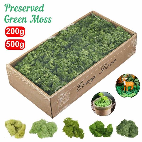 

500g/200g simulation plants eternal life moss / garden home decor wall diy flower material mini garden micro landscape fake moss