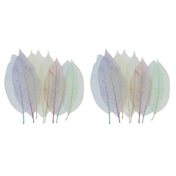 

16x natural leaves gift wrappingcrafts cards album hanging decorative 18 x 6 cm