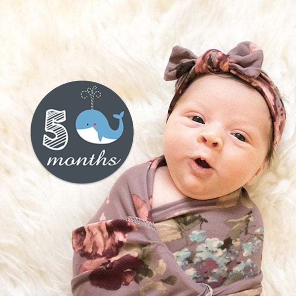 

cartoon animal newborn month sticker baby infants monthly p props k4ue, White