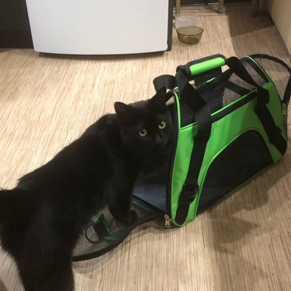 

поѬаивнй пђееви pet carrier дл коки обаки Ѭкзак дл пеѬеноки ђмки мален