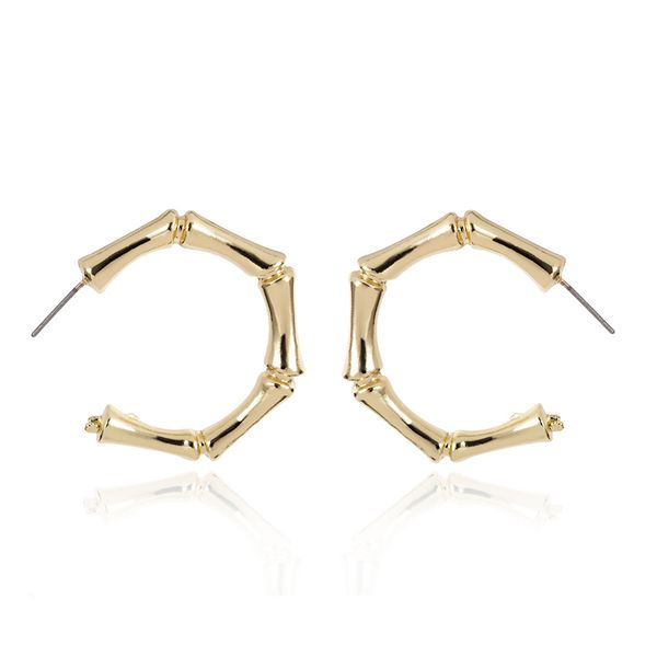 

fashion punk exaggerated hiphop bamboo hoop earring statement geometric small cricle earrings for women trendy jewelry oorbellen, Golden;silver