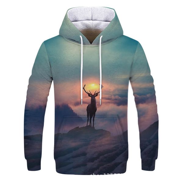 

style 2019 outdoor casual street dance 3d digital printing couples frog new sunset scenery deer hoodies for men and women, Black