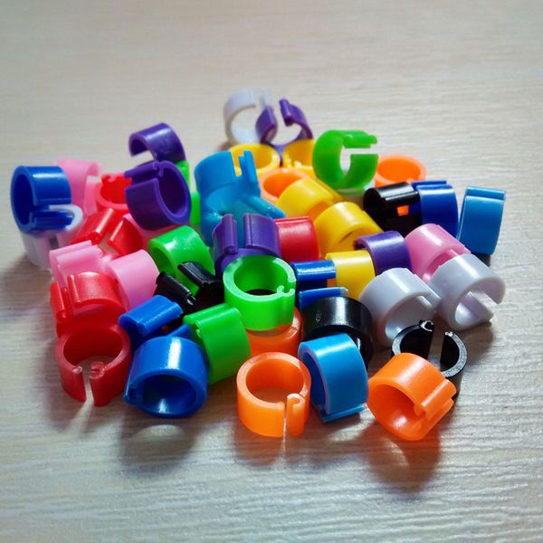 

100pcs random color bird supplies universal practical 8mm garden home durable accessories plastic ring