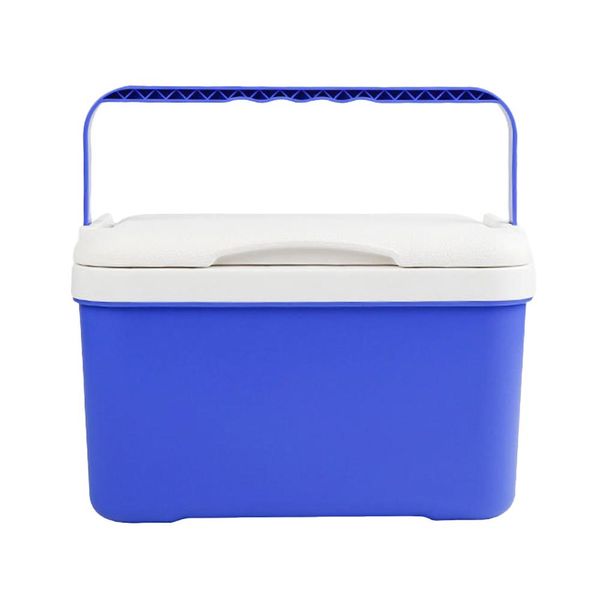 

cooler box 6l cooler and warmer for car home portable refrigerator milk insulated carrier with handle car incubator
