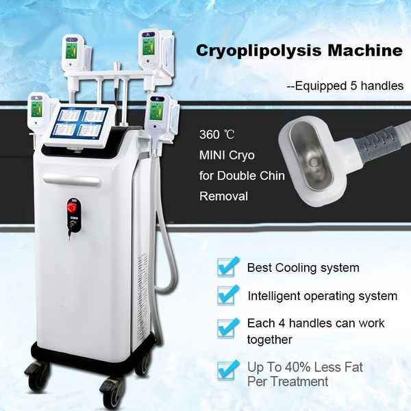 

5 handles cryolipolysis slimming machine fat ing cooling machine fat removal 2 years warranty