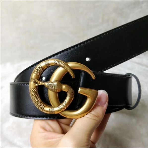 

Cintos qu1356439qu