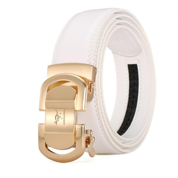 

men's belt fashion men's brand 2018 new authentic fashion leisure youth belt men's leather automatic belt delivery, Black;brown