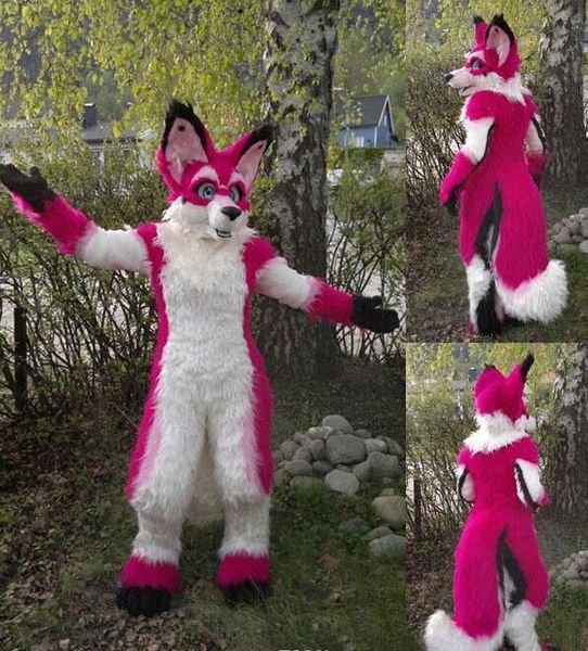 

2019 chihuahua luxury fox dog mascot costumes character fancy dress costumes corporate school team mascots, Red;yellow