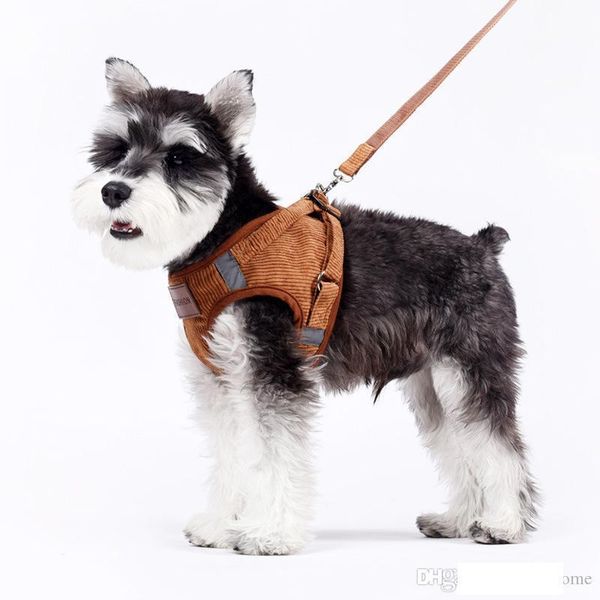 rope style dog leash