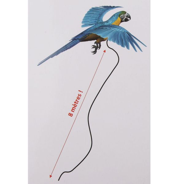 

6pcs bird adjust leash parrots traction rope large birds parrots cockatiel