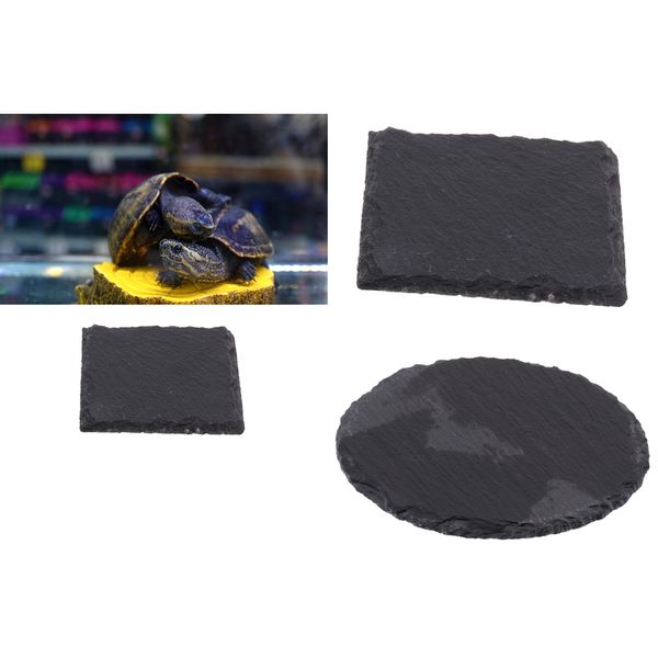 

2pcs multifunctional reptile lizard turtle food bowl feeding dish basin basking pier natural rock plate 10 x 10 cm & dia. 13cm