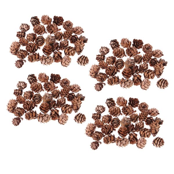 

120pcs сельских декоративные pinecone ваза чаша filler дисплей таблица украшение
