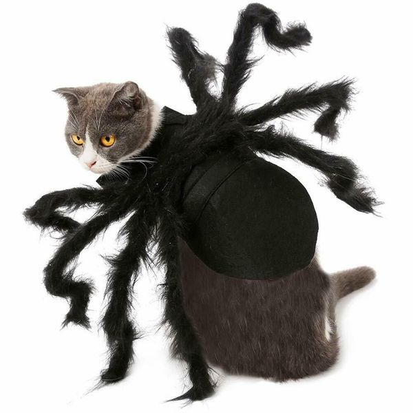 

halloween spider pet costume cool cosplay clothes for cat dog puppy funny party-medium dog apparel