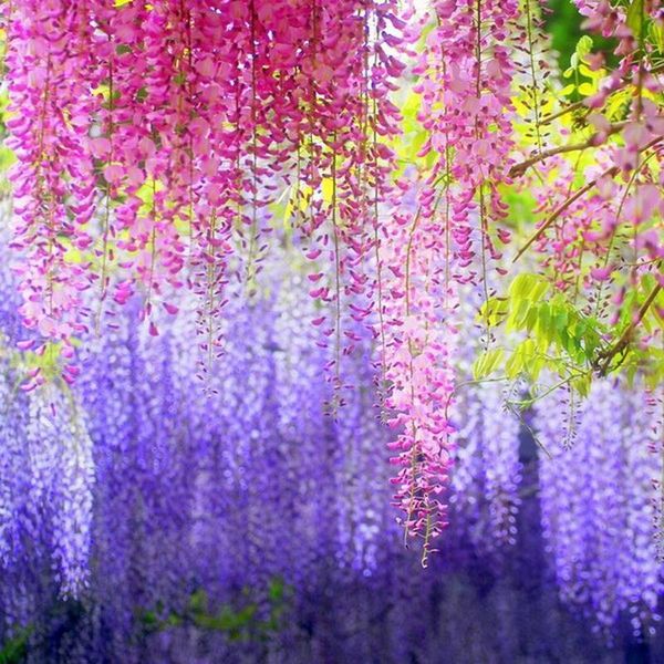 

wedding decorations 110cm silk flower wall wisteria artificial hanging flowers hanging fake flower for wedding party home garden decorations