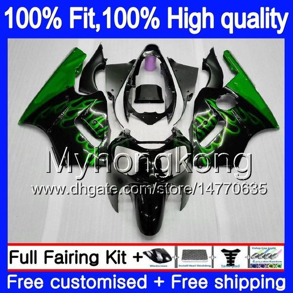 Injeção de OEM para a Kawasaki ZX 12R ZX1200 1200cc 2002 2003 2004 2005 2006 224MY.0 ZX 12 R ZX12R ZX12R 02 03 04 05 06 chamas Fairing verdes