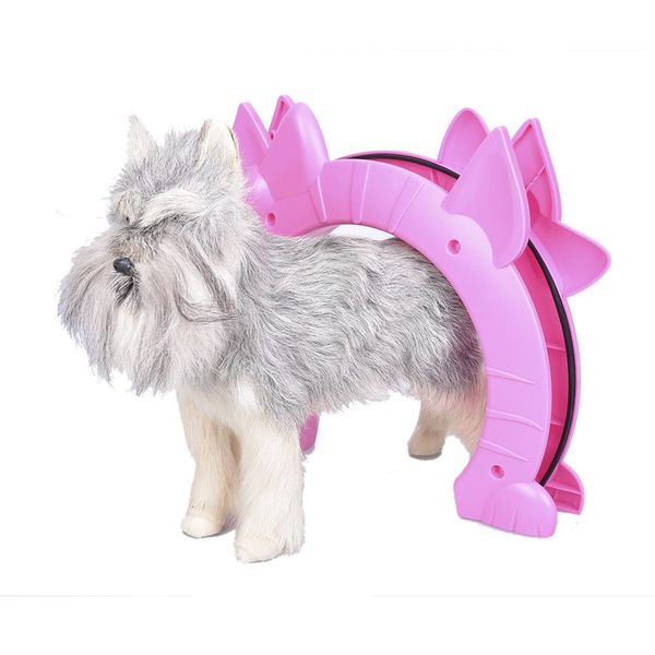 2019 Cat Dog Kitty Door Pass Interior Cat Door Pet Toy Hidden