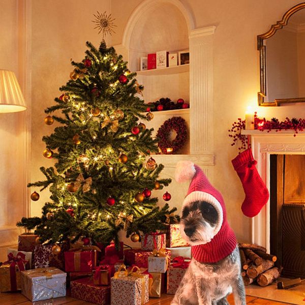 

funny christmas dog hat red elastic acrylic cap warm crocheted snood winter pet knit headwear winter pet cat dog caps