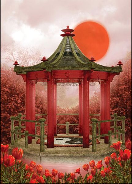 

graphy backdrops custom portrait cloth digital printed p props p studio background jt19301-107