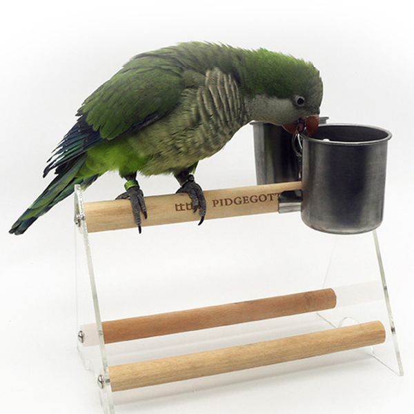 

прочные с зажимом маленькие животные водного parrot двойные стаканчики из нержавеющей стали стенд еды клетка аксессуары кормушка