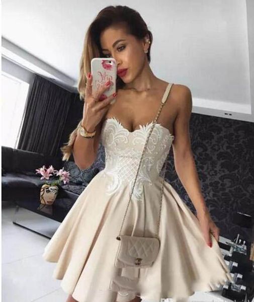 

charming a line homecoming dresses sweetheart neckline appliques sleeveless dress evening wear short zipper back cocktail dresses, Blue;pink