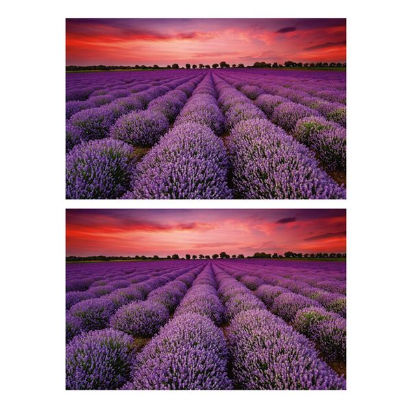 

2 pieces 1000 pieces kids diy jigsaw puzzle gift lavender flower field