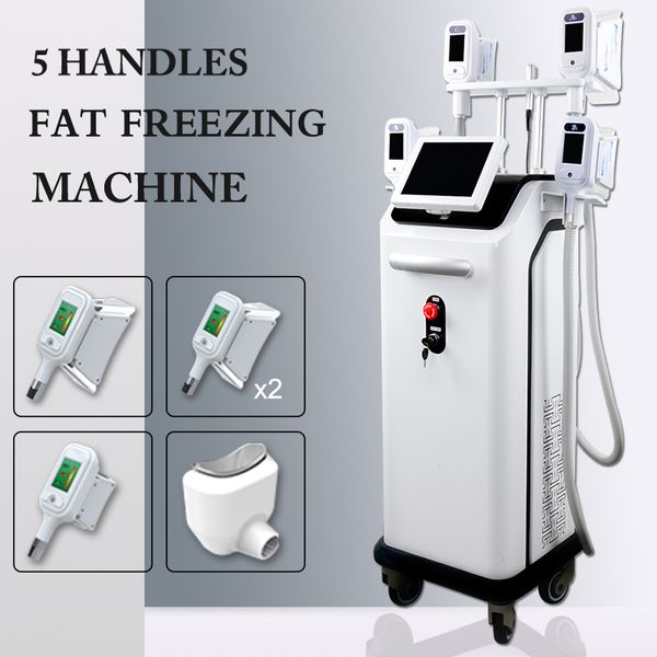 

фабрика прайса cryolipolysis красоты оборудование жира замораживания машина 3d cryolipolysis жира потеря похудения машина гарантия 2 года