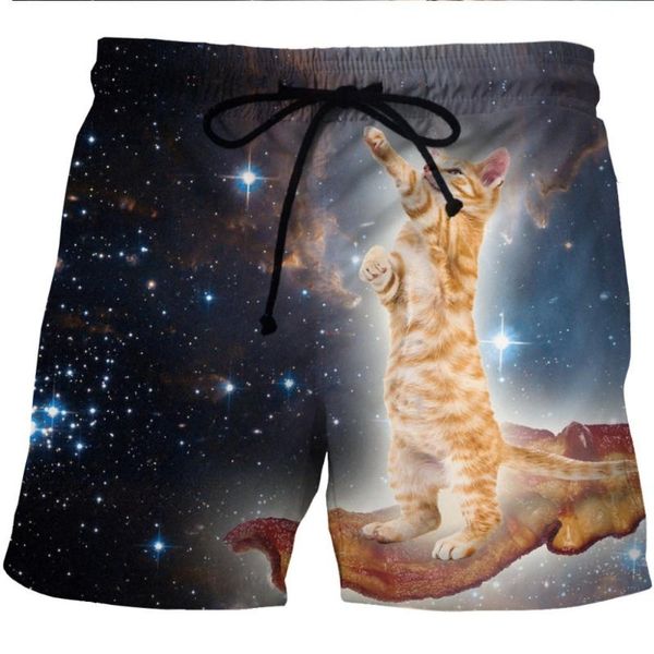 

лето мужчины пляж шорты водные виды спорта штаны cute cat печати galaxy s-6xl running short quick dry plus size swim surf board swimwear
