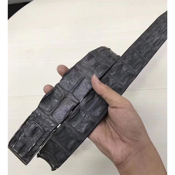 genuine alligator belt mens