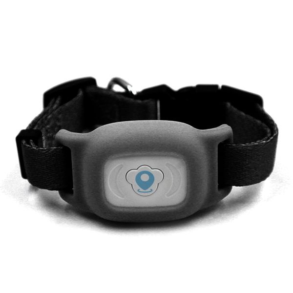 

2019 intelligence waterproof ip67 mini pet gps tracking tracker collar for dog cat agps lbs sms positioning pets track device