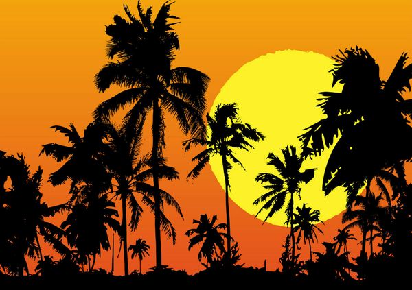 

sunset palm trees tropical landscape home decor handpainted &hd print oil painting on canvas wall art canvas pictures 200119