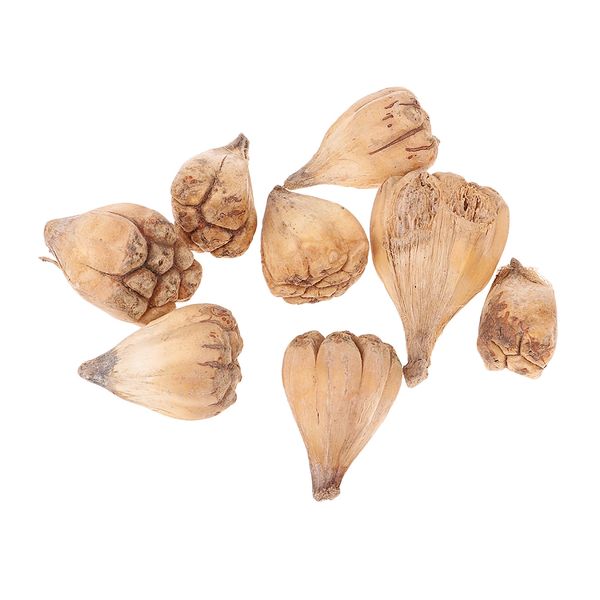 

50 шт мини природных сушеные фруктов бергамота на рождество свадьба главной партии украшение подарок для друга семьи других праздничные вече