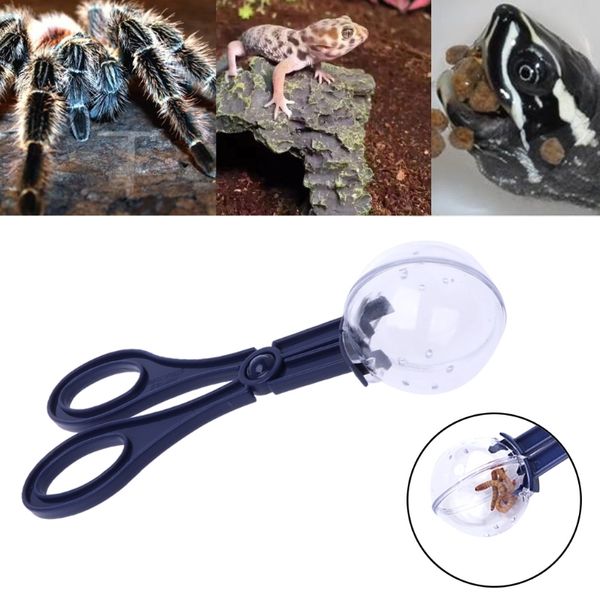 

new reptile amphibian feeding litter poop cleaning clamp clip tool reptile supplies