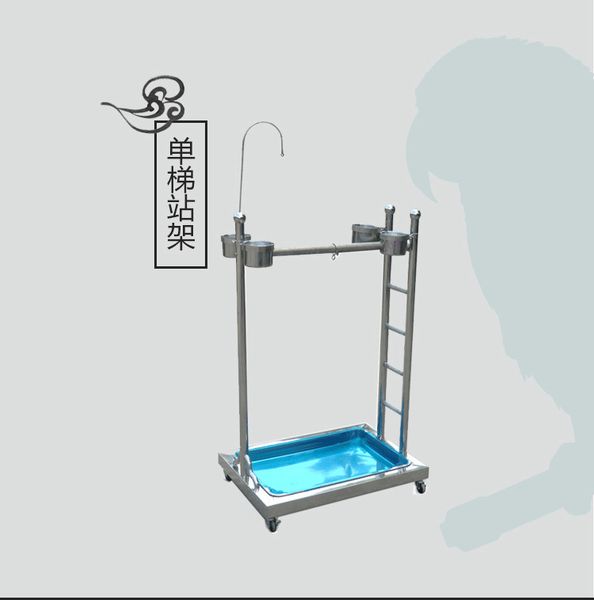 

stainless steel parrot stand bird the shelf in large parrot frame peter jackson's king kong sunflower compromise ash parrot the shelf