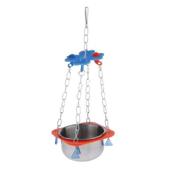 

bird parrot water feeder feeding