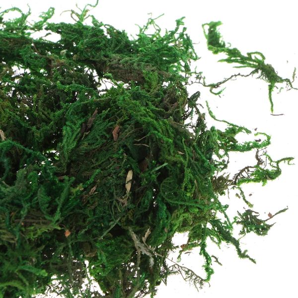 

artificial moss fresh green modeling fake plants for home garden decoration d08d