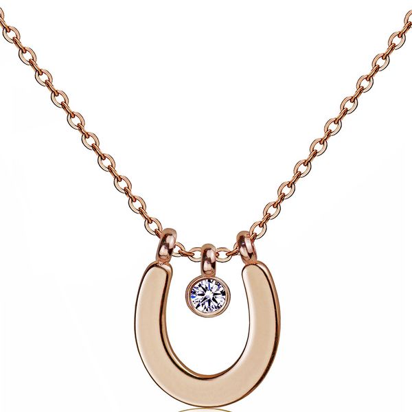 

horseshoe crystal pendant necklace stainless steel circle cubic zirconia necklace women trendy everyday jewelry graduation gift, Silver