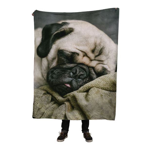 

ehomebuy 3d blanket funny pug 3d animal print baby flannel cover spring home decor air conditioning picnic portable