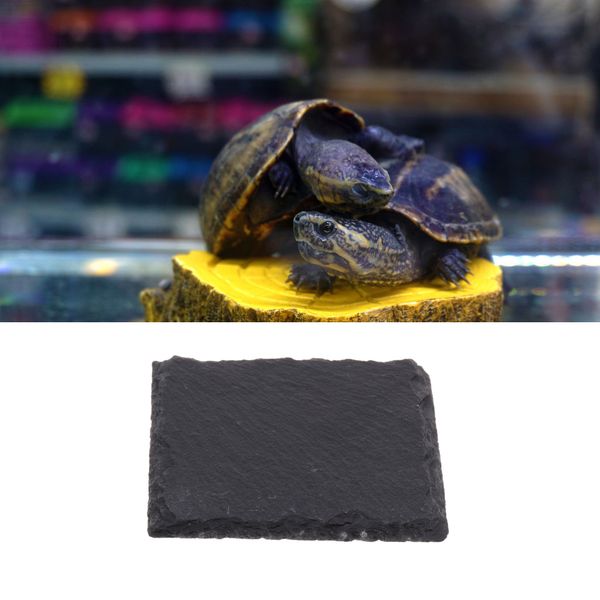 

3 pcs pet reptile rock basking platform tortoise rock feeding food dish bowl