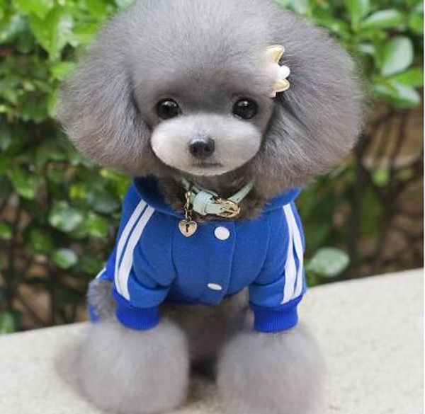 

pet dog clothes winter warm pet dog jacket coat puppy clothing hoodies for small medium dogs puppy yorkshire outfit