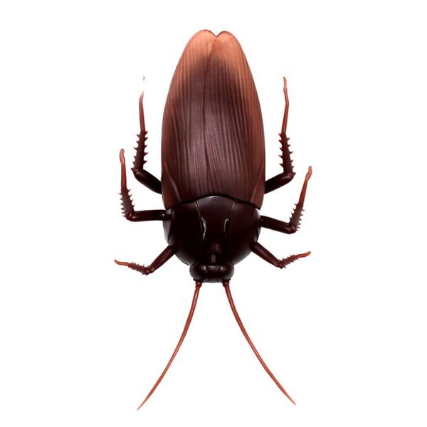 

high simulation animal model luminous eyes infrared remote control cockroach spoof tricky toy funny scary prank toy hi